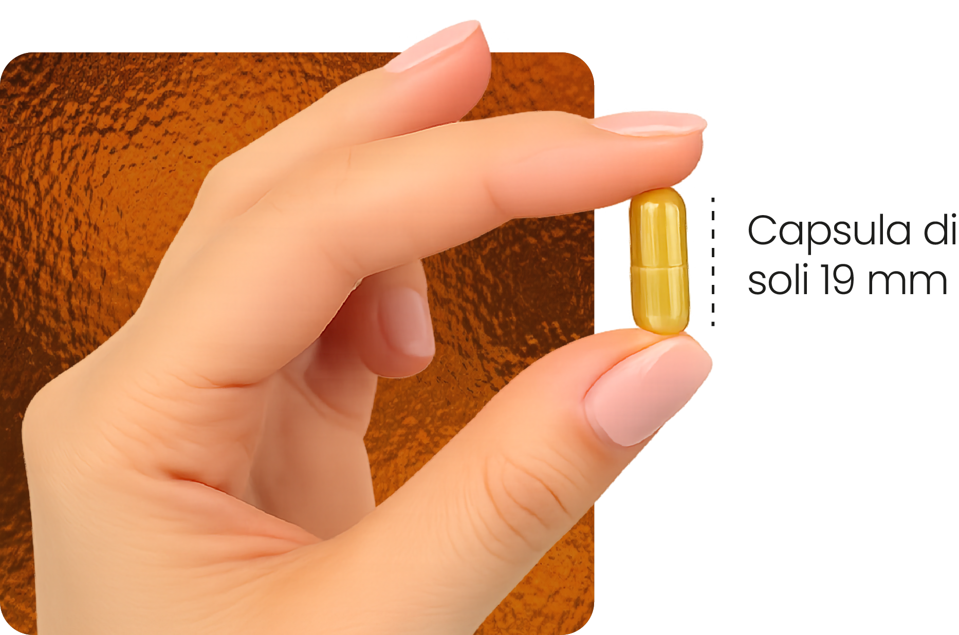 Capsula vegetale Maca Nera di soli 19 mm
